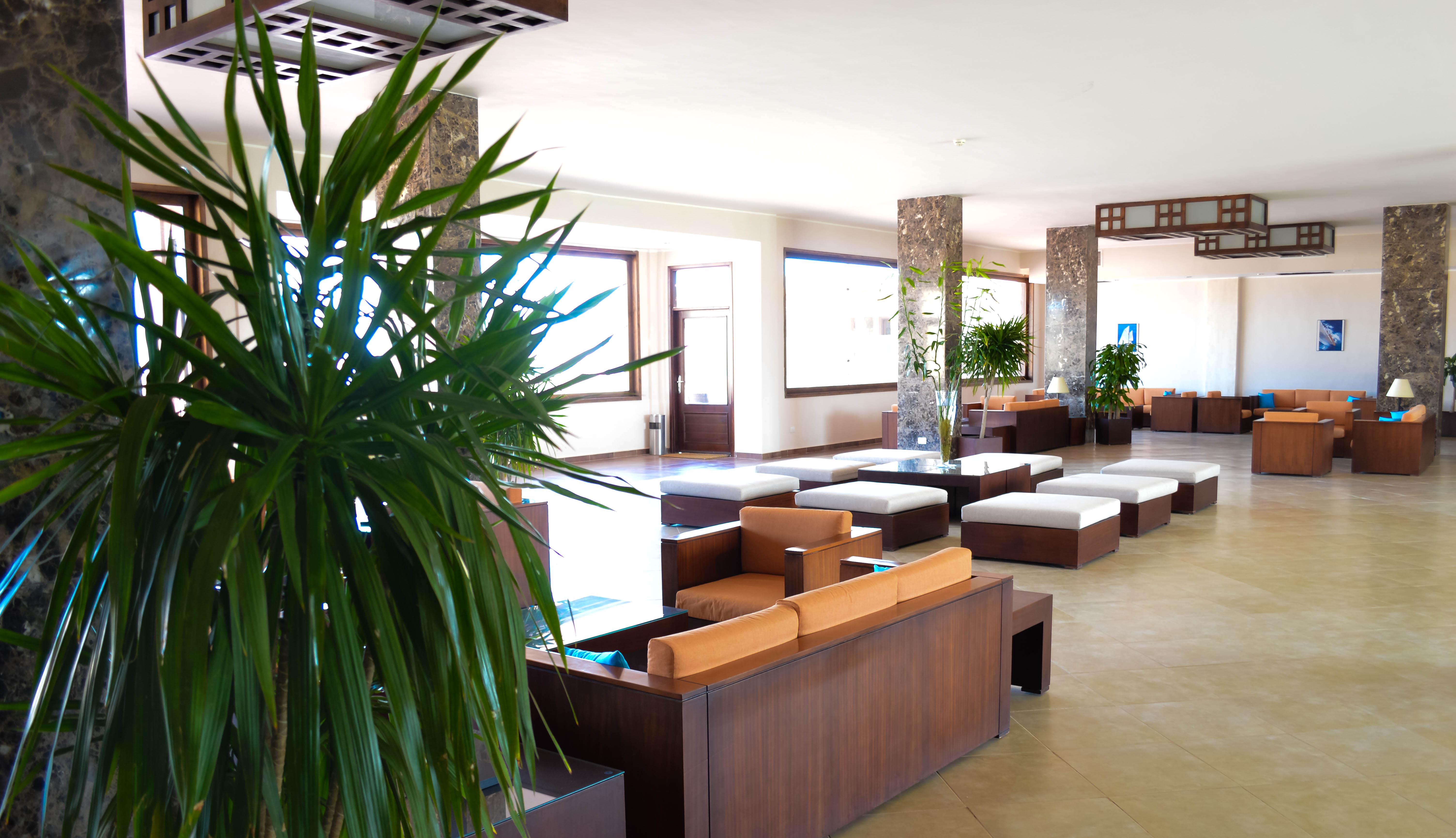 Viva Blue Resort And Diving Sharm El Naga (Adults Only) Hurghada Esterno foto